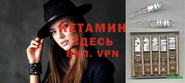 прущие грибы Абаза