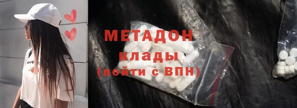 прущие грибы Абаза