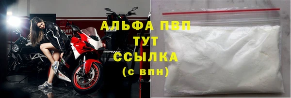 прущие грибы Абаза