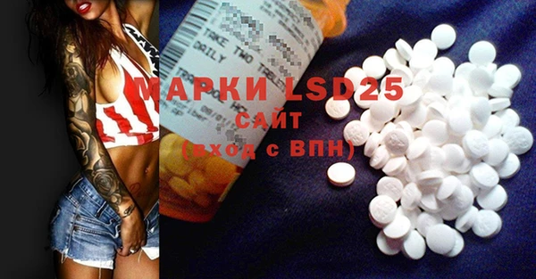 прущие грибы Абаза