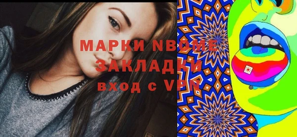 прущие грибы Абаза