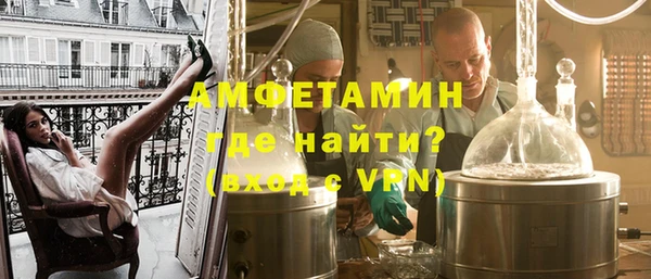 прущие грибы Абаза