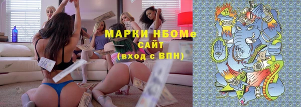 прущие грибы Абаза