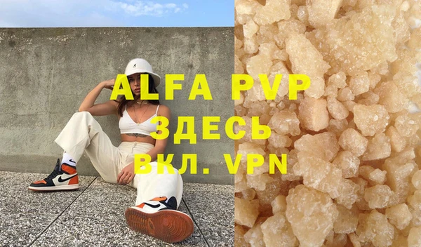 прущие грибы Абаза