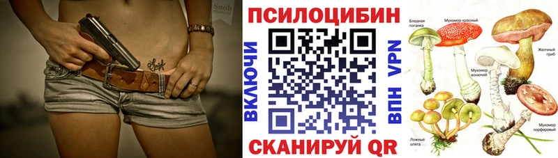 купить наркоту  сайты даркнета состав  Псилоцибиновые грибы мицелий  Бирюсинск 